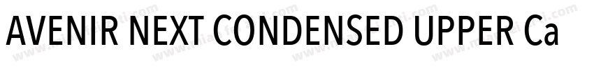 AVENIR NEXT CONDENSED UPPER Case字体转换